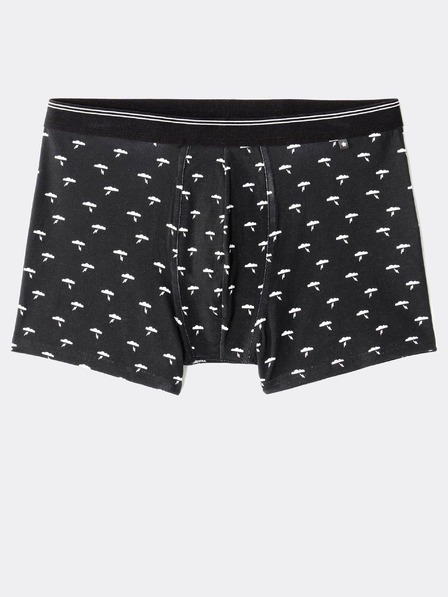 Celio Boxer