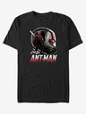 ZOOT.Fan Marvel Ant-Man and The Wasp T-shirt