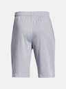 Under Armour Prototype 2.0 Logo Kids Shorts