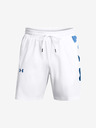 Under Armour UA Baseline Woven Short pants