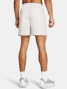 Under Armour Curry Woven Short pants