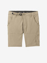 prAna Stretch Zion Short II Short pants