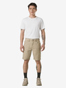 prAna Brion Short II Short pants