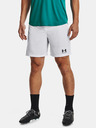 Under Armour Challenger Core Short pants