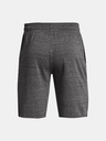 Under Armour UA Rival Terry Short pants