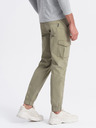 Ombre Clothing Pantaloni