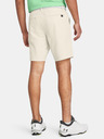 Under Armour UA Drive Taper Short pants