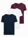 Ombre Clothing T-shirt 3 pcs