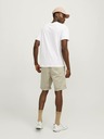 Jack & Jones Bowie Short pants