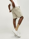 Jack & Jones Bowie Short pants