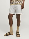 Jack & Jones Ace Short pants