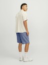 Jack & Jones Ace Short pants