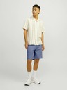 Jack & Jones Ace Short pants