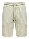 ONLY & SONS Sinus Short pants