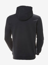 Helly Hansen HH Logo Hodie Sweatshirt