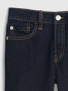 GAP Washwell Kids Jeans