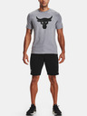 Under Armour Project Rock Terry Short pants