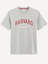 Celio Harvard University T-shirt