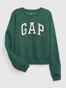 GAP Teen Kids Sweatshirt