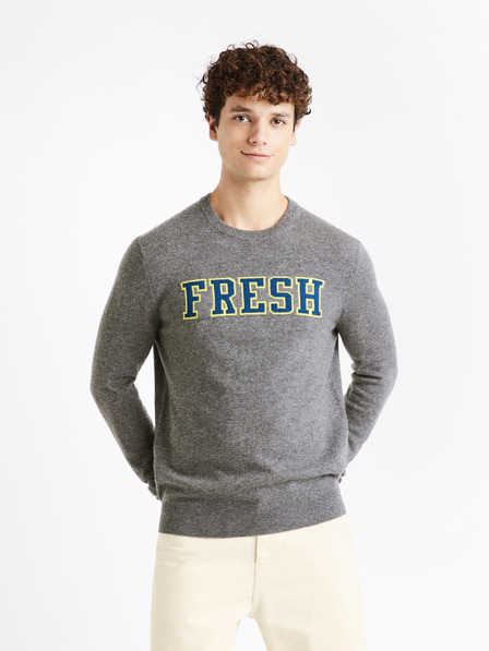 Celio Cenormal Sweater