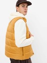 GAP Gilet