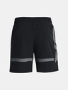 Under Armour UA Baseline Woven Short II Short pants