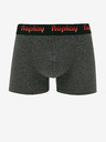 Replay Boxers 2 pcs