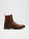 Aldo Theophilis Ankle boots