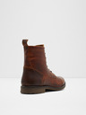 Aldo Theophilis Ankle boots