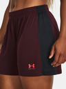 Under Armour UA W's Ch. Knit Shorts