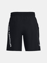 Under Armour UA Ev Corev Woven Short pants