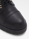 Aldo Alique Ankle boots