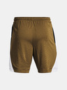 Under Armour Curry Splash Short pants