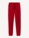 Celio Fonewyoke Sweatpants