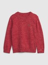 GAP Brannan Kids Sweater