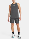 Under Armour UA Baseline Short pants