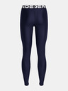 Under Armour UA HG Leggings