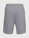 Under Armour UA Tech Graphic Short pants