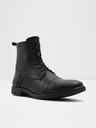 Aldo Theophilis Ankle boots