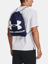 Under Armour UA Ozsee Backpack