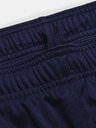 Under Armour Challenger Knit Short pants