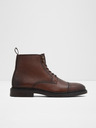 Aldo Unilis Ankle boots