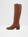 Aldo Tanerdy Tall boots