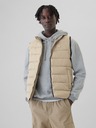 GAP ColdControl Vest