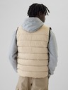 GAP ColdControl Vest