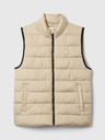 GAP ColdControl Vest