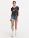 Pepe Jeans Thrasher Destroy Shorts