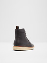 Aldo Tiberius Ankle boots