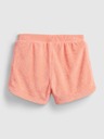 GAP Kids Shorts