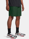 Under Armour UA Tech Vent Short pants